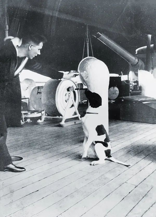 Джуди на борту HMS Grasshopper