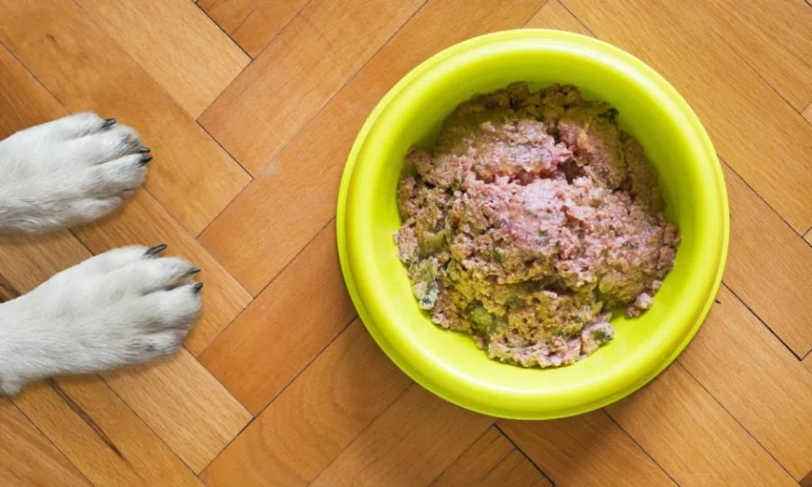 Миска и лапы